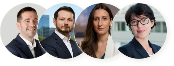 French registered lawyers, accountants and notaries